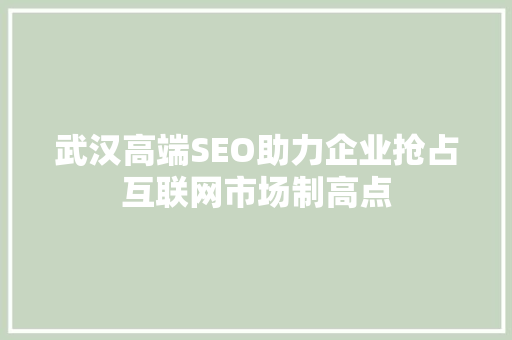 武汉高端SEO助力企业抢占互联网市场制高点