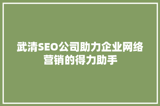 武清SEO公司助力企业网络营销的得力助手