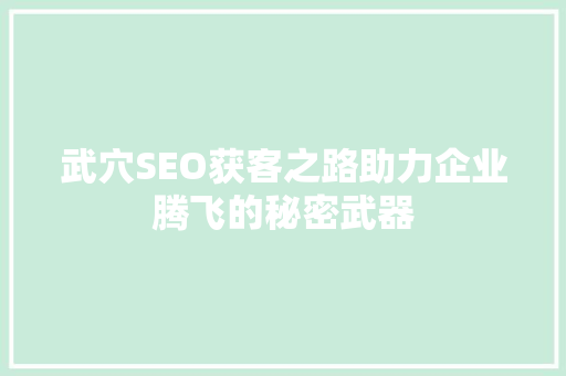 武穴SEO获客之路助力企业腾飞的秘密武器