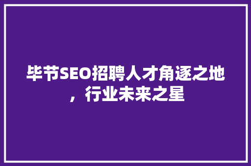 毕节SEO招聘人才角逐之地，行业未来之星