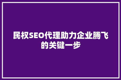 民权SEO代理助力企业腾飞的关键一步