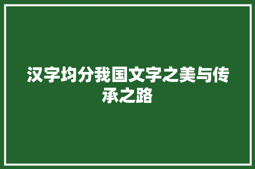 汉字均分我国文字之美与传承之路