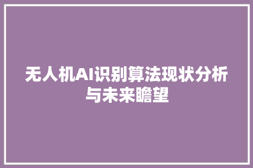 无人机AI识别算法现状分析与未来瞻望
