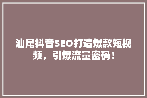 汕尾抖音SEO打造爆款短视频，引爆流量密码！