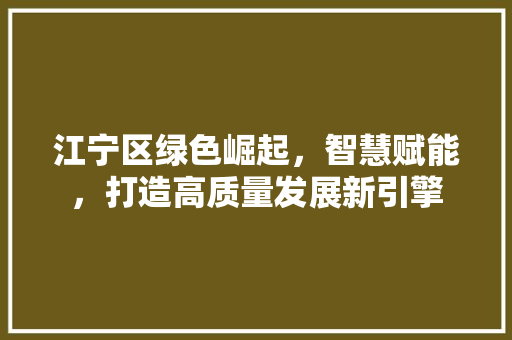 江宁区绿色崛起，智慧赋能，打造高质量发展新引擎