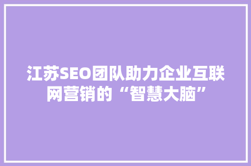 江苏SEO团队助力企业互联网营销的“智慧大脑”