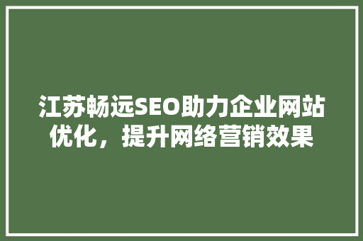 江苏畅远SEO助力企业网站优化，提升网络营销效果
