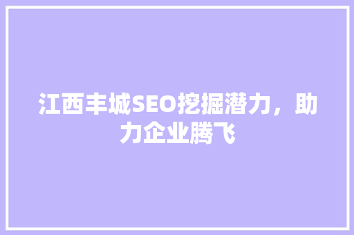 江西丰城SEO挖掘潜力，助力企业腾飞