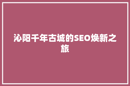 沁阳千年古城的SEO焕新之旅