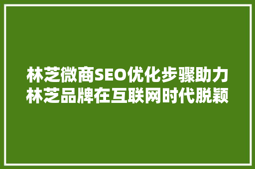 林芝微商SEO优化步骤助力林芝品牌在互联网时代脱颖而出