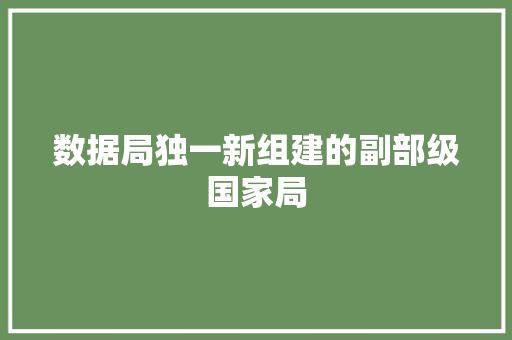 数据局独一新组建的副部级国家局