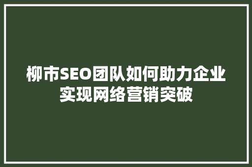 柳市SEO团队如何助力企业实现网络营销突破