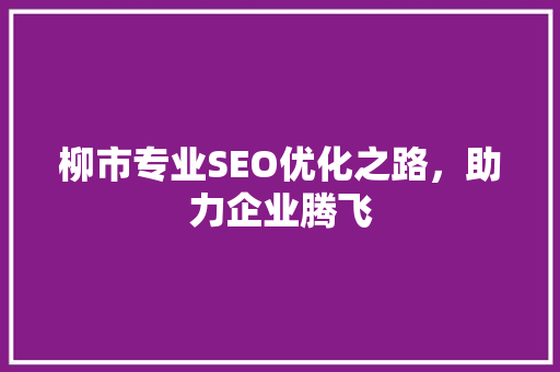 柳市专业SEO优化之路，助力企业腾飞