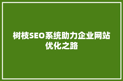 树枝SEO系统助力企业网站优化之路