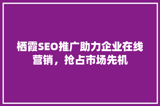 栖霞SEO推广助力企业在线营销，抢占市场先机