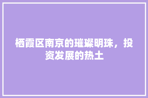 栖霞区南京的璀璨明珠，投资发展的热土