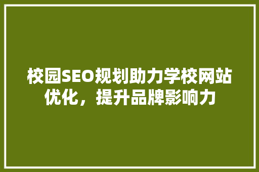 校园SEO规划助力学校网站优化，提升品牌影响力