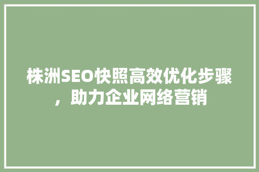 株洲SEO快照高效优化步骤，助力企业网络营销