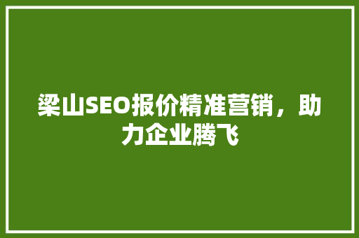 梁山SEO报价精准营销，助力企业腾飞