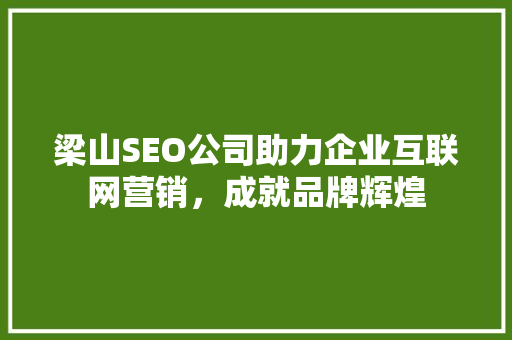梁山SEO公司助力企业互联网营销，成就品牌辉煌