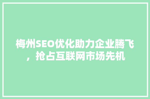 梅州SEO优化助力企业腾飞，抢占互联网市场先机