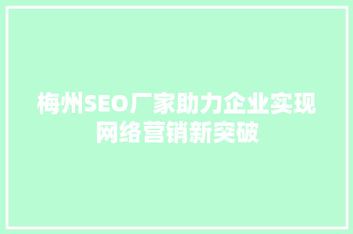梅州SEO厂家助力企业实现网络营销新突破