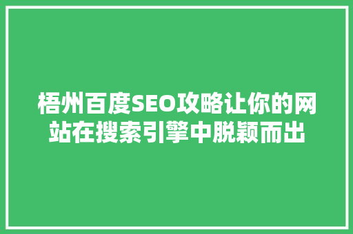 梧州百度SEO攻略让你的网站在搜索引擎中脱颖而出