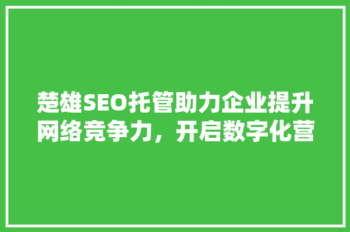 楚雄SEO托管助力企业提升网络竞争力，开启数字化营销新篇章