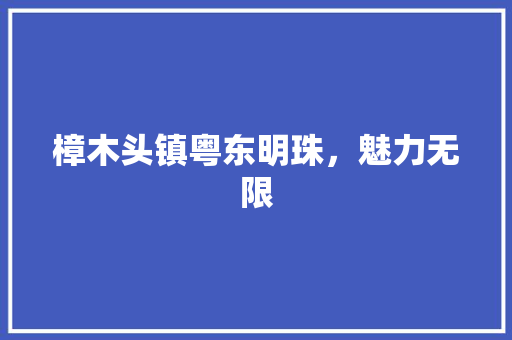 樟木头镇粤东明珠，魅力无限