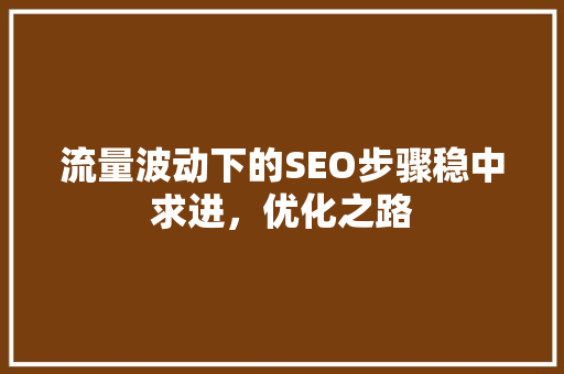 流量波动下的SEO步骤稳中求进，优化之路