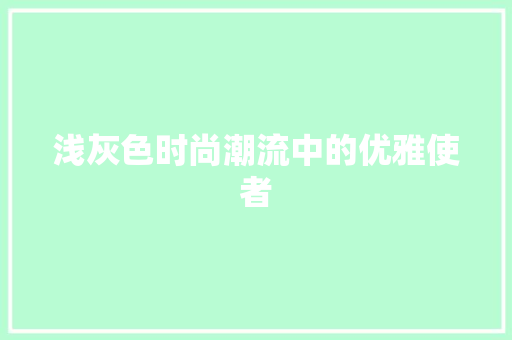 浅灰色时尚潮流中的优雅使者