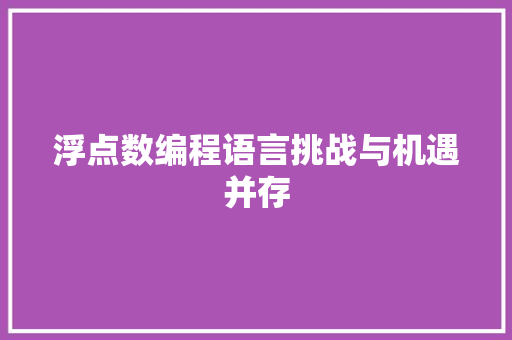 浮点数编程语言挑战与机遇并存