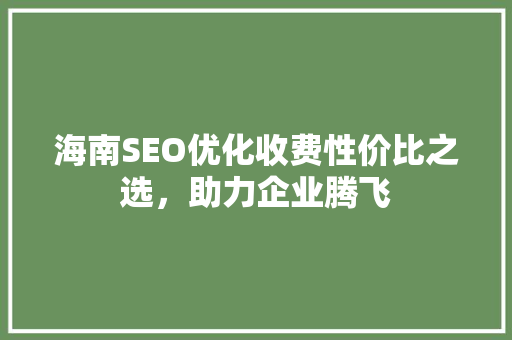 海南SEO优化收费性价比之选，助力企业腾飞