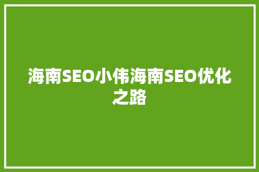 海南SEO小伟海南SEO优化之路