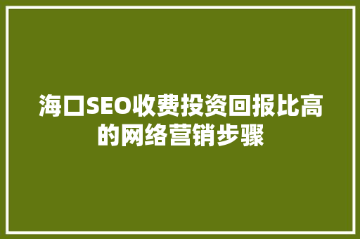 海口SEO收费投资回报比高的网络营销步骤