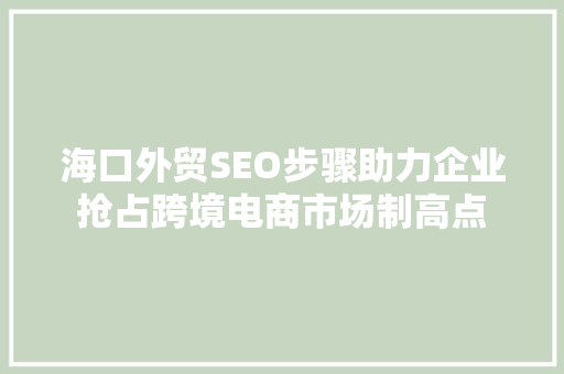 海口外贸SEO步骤助力企业抢占跨境电商市场制高点