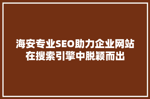 海安专业SEO助力企业网站在搜索引擎中脱颖而出