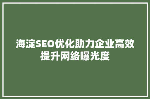 海淀SEO优化助力企业高效提升网络曝光度