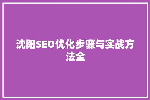 沈阳SEO优化步骤与实战方法全