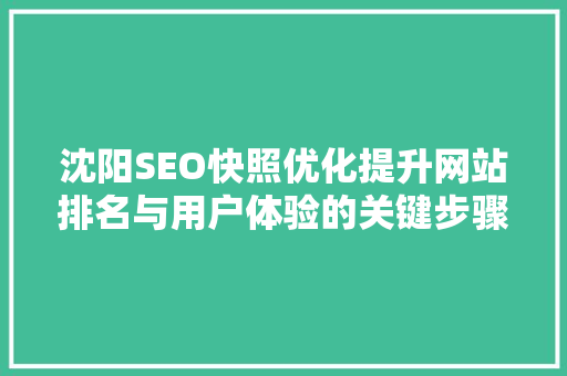 沈阳SEO快照优化提升网站排名与用户体验的关键步骤