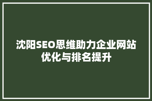 沈阳SEO思维助力企业网站优化与排名提升