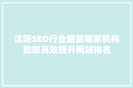沈阳SEO行业翘楚哪家机构助您高效提升网站排名