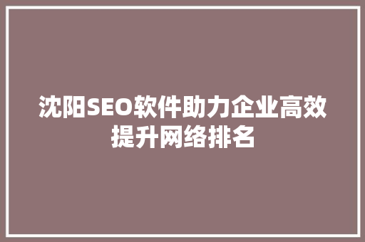 沈阳SEO软件助力企业高效提升网络排名