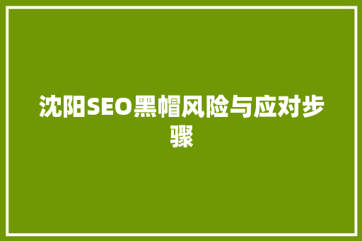 沈阳SEO黑帽风险与应对步骤