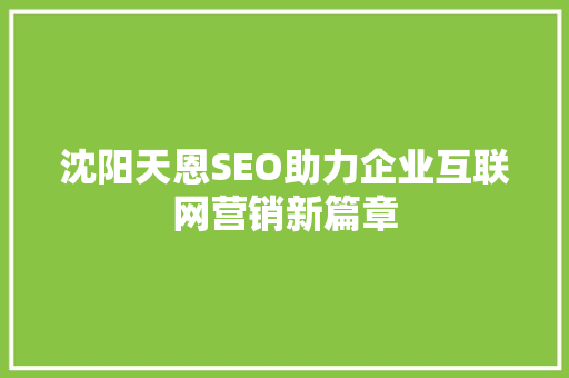 沈阳天恩SEO助力企业互联网营销新篇章