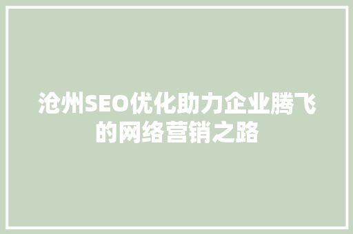 沧州SEO优化助力企业腾飞的网络营销之路