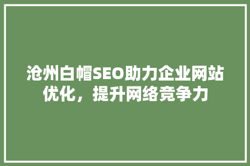 沧州白帽SEO助力企业网站优化，提升网络竞争力