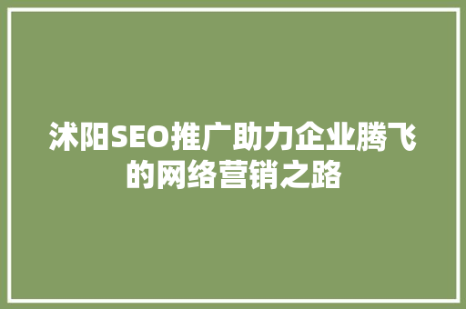 沭阳SEO推广助力企业腾飞的网络营销之路
