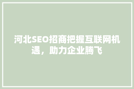 河北SEO招商把握互联网机遇，助力企业腾飞