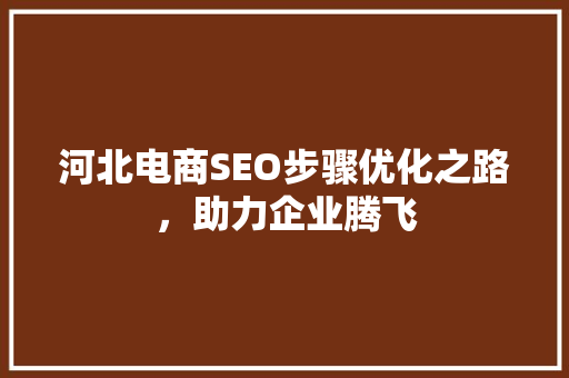 河北电商SEO步骤优化之路，助力企业腾飞